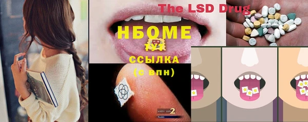 спиды Горняк