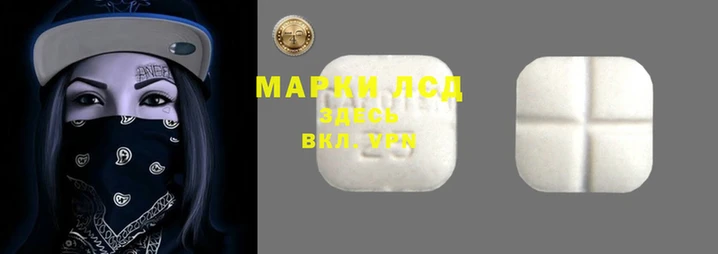 спиды Горняк
