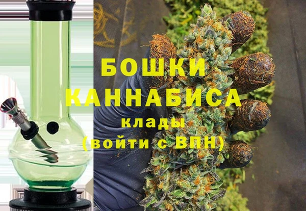 индика Дмитров