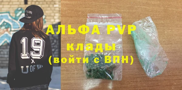 спиды Горняк